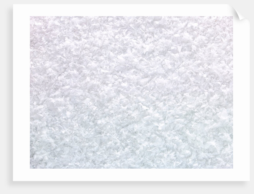 Snow background by Assaf Frank